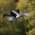 Parrot Bebop 2 Drohne weiß + Parrot Skycontroller schwarz - 10